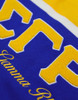 Sigma Gamma Rho Sorority Sweater-Button Down-Crest-Blue/Yellow
