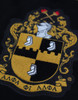 Alpha Phi Alpha Fraternity Pull Over Sweater-Black/Gold