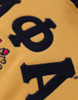 Alpha Phi Alpha Fraternity Hoodie-Gold/Black