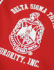  Delta Sigma Theta Sorority Baseball Jersey- Button Up-Red