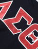 Delta Sigma Theta Sorority Dri-Fit Shirt- Heart-Three Greek Letters-Black