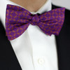 Sigma Phi Epsilon SigEp Fraternity Silk Bow Tie- Self-Tie- Greek Letters