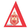 Delta Sigma Theta Sorority Ringer T-shirt-Khaki