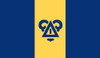 Delta Upsilon Fraternity Flag