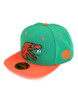 Florida A&M University FAMU Snapback Hat
