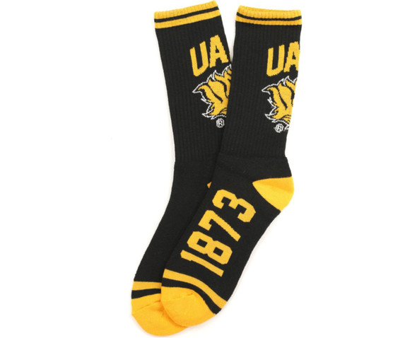 University of Arkansas Pine Bluff Socks