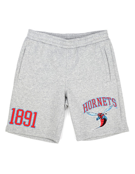 Delaware State University Shorts- Gray