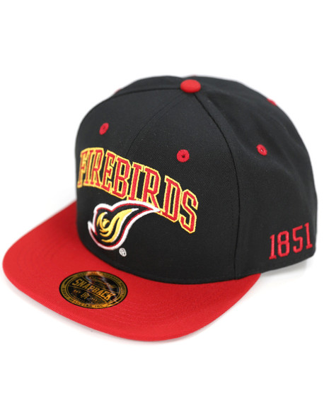 University of the District of Columbia Snapback Hat-Black