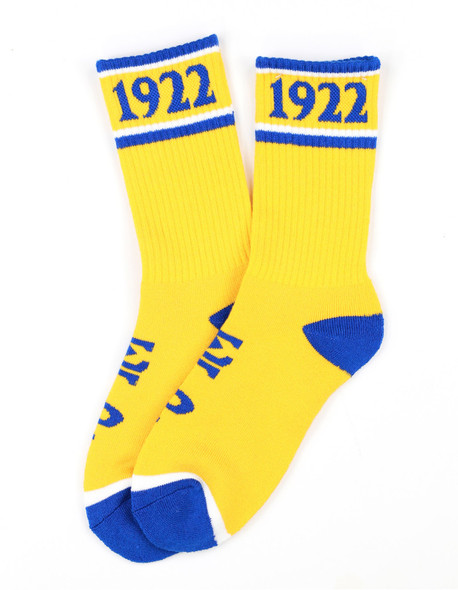 Sigma Gamma Rho Sorority Socks-Yellow