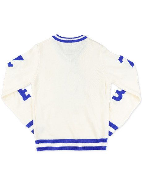 Zeta Phi Beta Sorority Pull Over V-Neck Sweater- Crest-White/Blue      