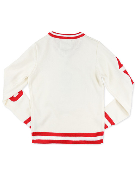 Delta Sigma Theta Sorority Pull Over V-Neck Sweater- Crest-White/Red-Style 2 -Back