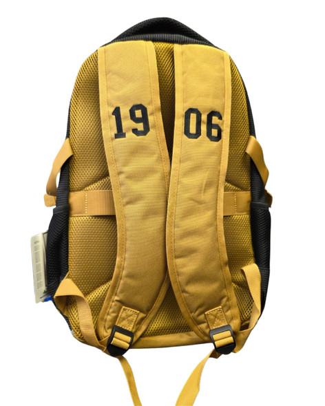 Alpha Phi Alpha Fraternity Backpack