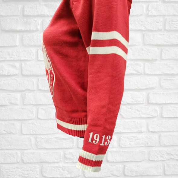 Delta Sigma Theta Sorority Chenille V-neck Varsity Sweater- Red