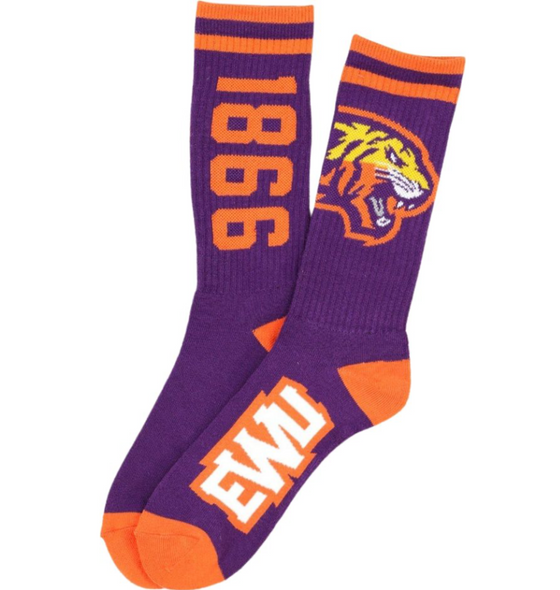 Edward Waters University Socks