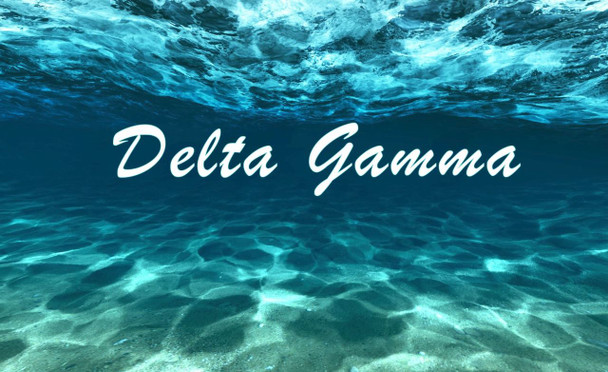  Delta Gamma Sorority Flag- Ocean 