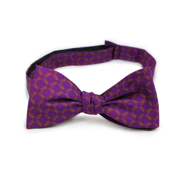 Sigma Phi Epsilon SigEp Fraternity Silk Bow Tie- Self-Tie- Greek Letters
