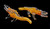 Crocodile Smoking Glass Pipe | Outer Limit Sales -2007