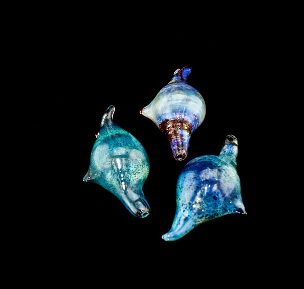 COLORFUL SEASHELL GLASS PIPE Outer Limit Sales-484