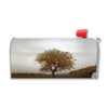 Made In USA Seasons Tree Fall Mailbox Cover Magnet (21" x 18.38")