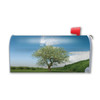 Made In USA Seasons Tree Spring Mailbox Cover Magnet (21" x 18.38")