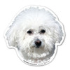 Made In USA Bichon Frises Dog Magnet (4.75" x 4.88")