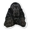 Made In USA (Black) Cocker Spaniel Dog Magnet (4.88" x 4.5")