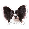 Made In USA (Black) Papillon Dog Magnet (3.88" x 4.88")