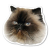 Made In USA Himalayan Cat Magnet (4.5" x 5")