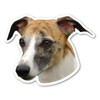 Made In USA Whippet Dog Magnet (4" x 4.75")