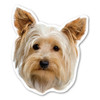 Made In USA Yorkshire Terrier Dog Magnet (4.88" x 4.25")