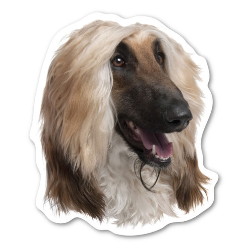 Made In USA Afghan Hound Dog Magnet (4.88" x 4.13")