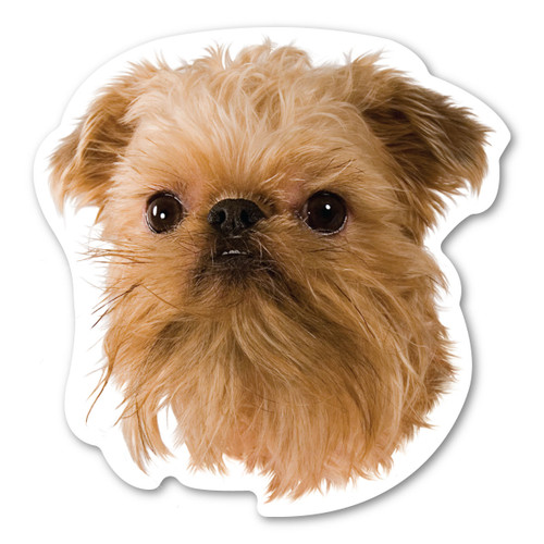 Made In USA Brussels Griffon Dog Magnet (5" x 4.88")