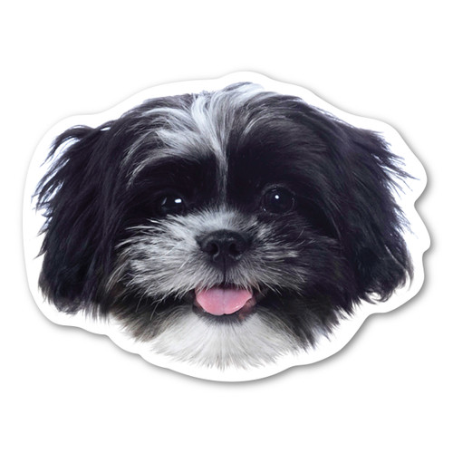 Made In USA (Black And White) Shih Tzu Dog Magnet (4.38" x 5.75")