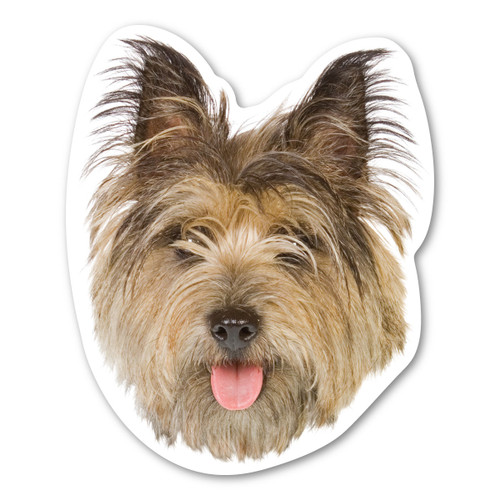 Made In USA Cairn Terrier Dog Magnet (5.5" x 4.5")
