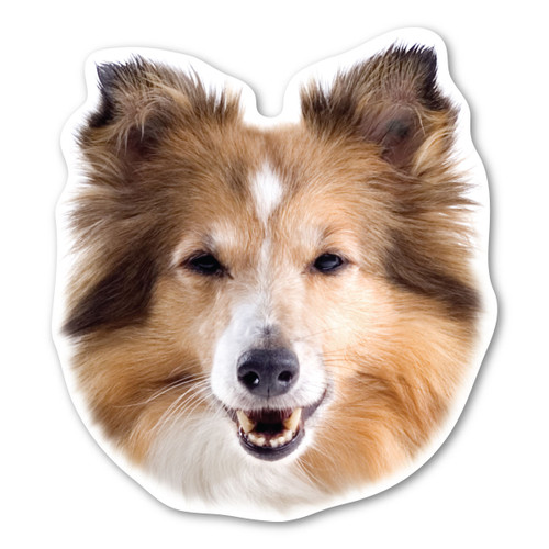 Made In USA Collie Magnet (4.88" x 5.38")