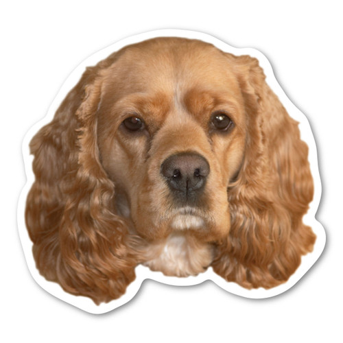 Made In USA Cocker Spaniel Dog Magnet (4.5" x 4.75")