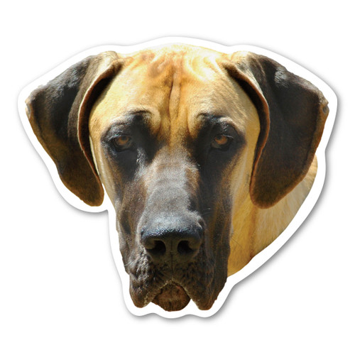 Made In USA Great Dane Dog Magnet (4.5" x 5")