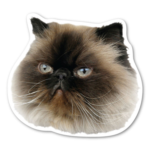 Made In USA Himalayan Cat Magnet (4.5" x 5")