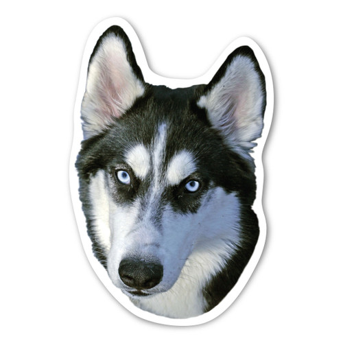 Made In USA Siberian Husky Dog Magnet (5" x 3.25")