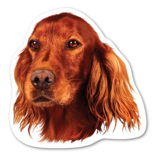 Made In USA Irish Setter Dog Magnet (5" x 5")