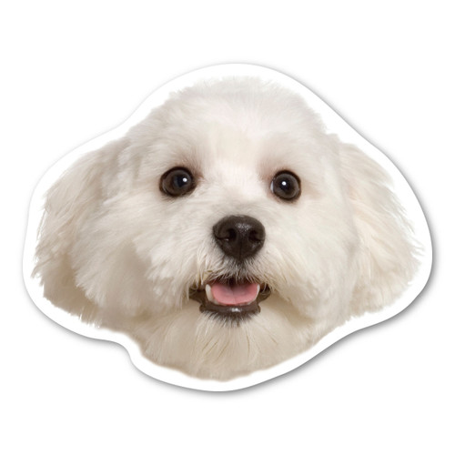 Made In USA Maltese Dog Magnet (4" x 4.88")