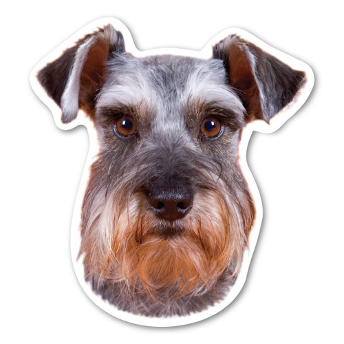 Made In USA Miniature Schnauzer Dog Magnet (5" x 4.5")
