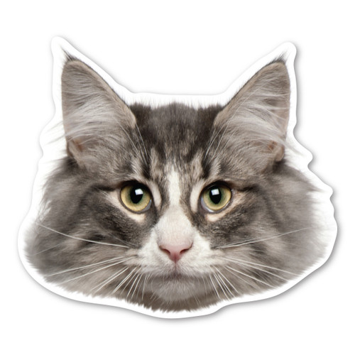 Made In USA Norewegian Forest Cat Magnet (4.32" x 4.9")