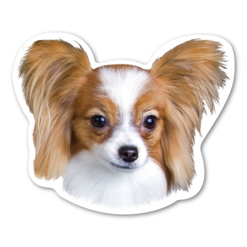 Made In USA Papillon Dog Magnet (4" x 4.88")