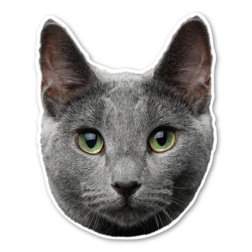 Made In USA Russian Blue Cat Magnet (6.1" x 4.9")
