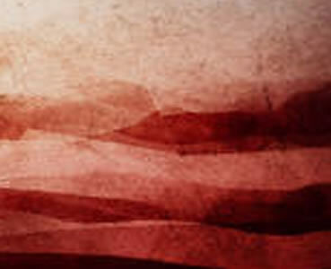 Sports Teams Magnets