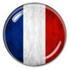 Flag of France Paperweight