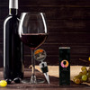 Buenos Aires Wine Bottle Stopper in Gift Box