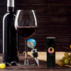 Cinque Terre Italy Wine Bottle Stopper in Gift Box