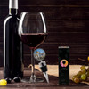 Mexico City Wine Bottle Stopper in Gift Box